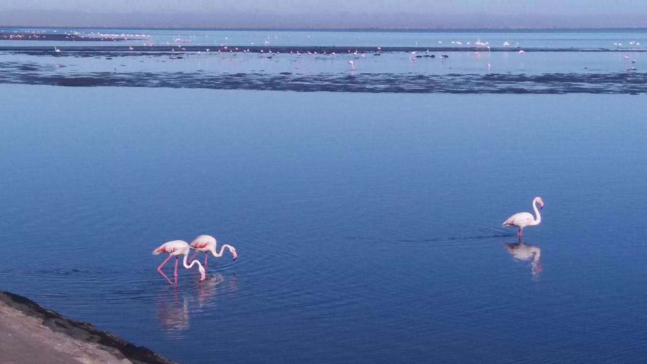 Haus Schaaf B&B Walvis Bay Luaran gambar