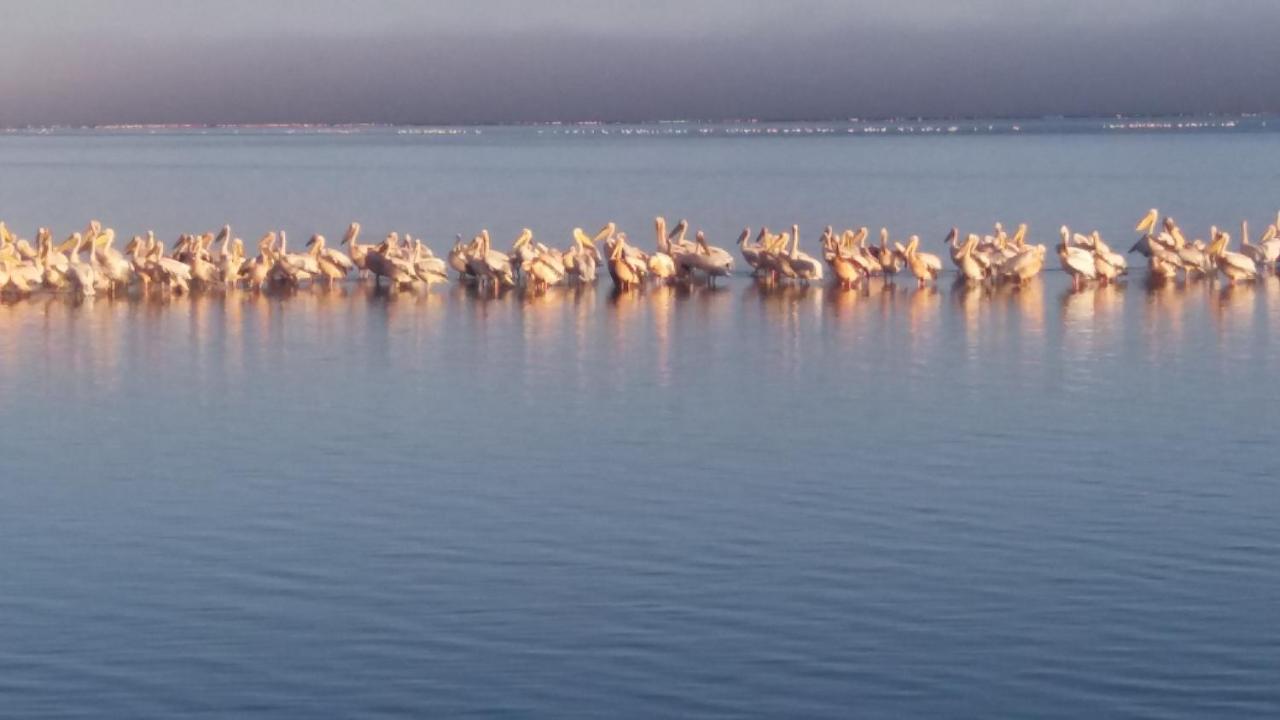 Haus Schaaf B&B Walvis Bay Luaran gambar